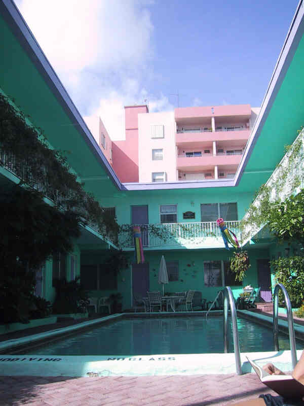 The blue dolphin hotel garden
