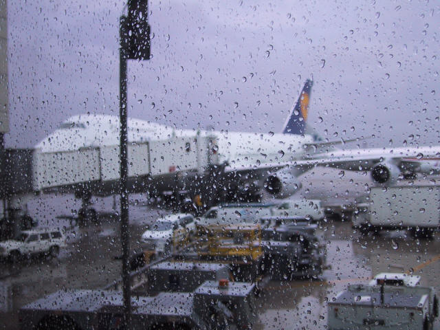 Flight back from MIA to FRA onboard D-AEZD at airport MIA