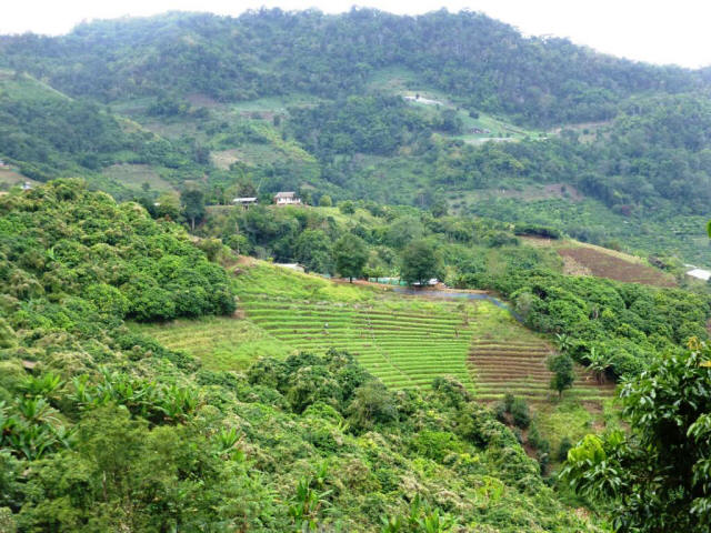 Thailand Chiang Mai landscape view