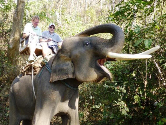 Stefan and Beat sitting on top of elephant