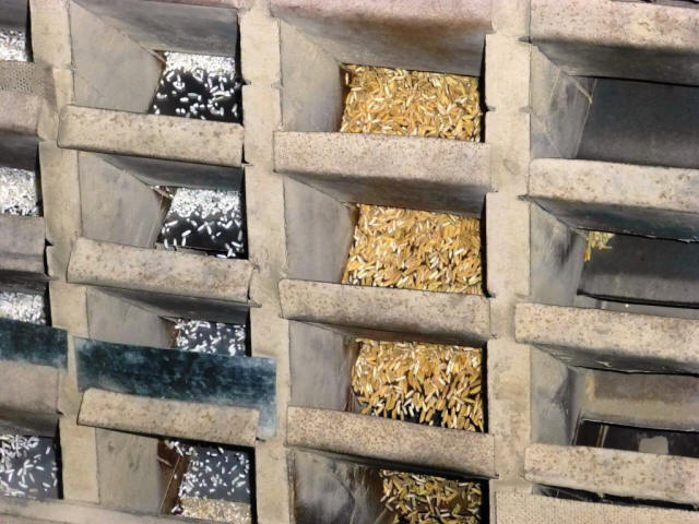 Chiang Mai Bird food