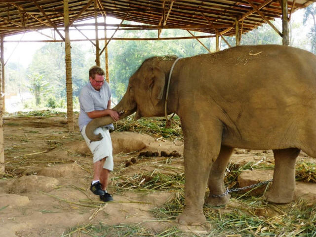 Stefan and elephant wrestling