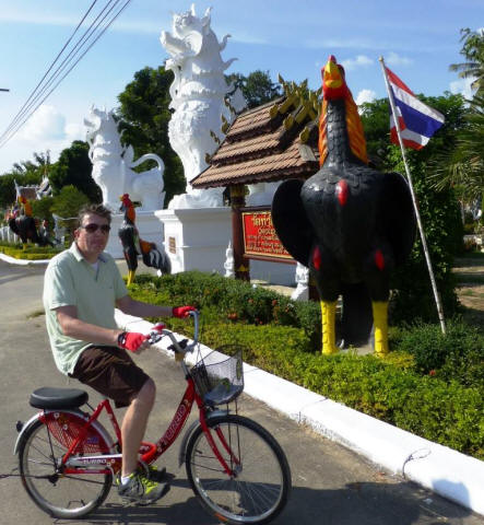 Velo tour Beat on bicycle next to a rooster