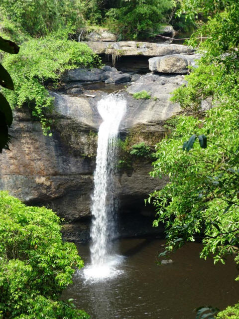 waterfall overhanging through forest