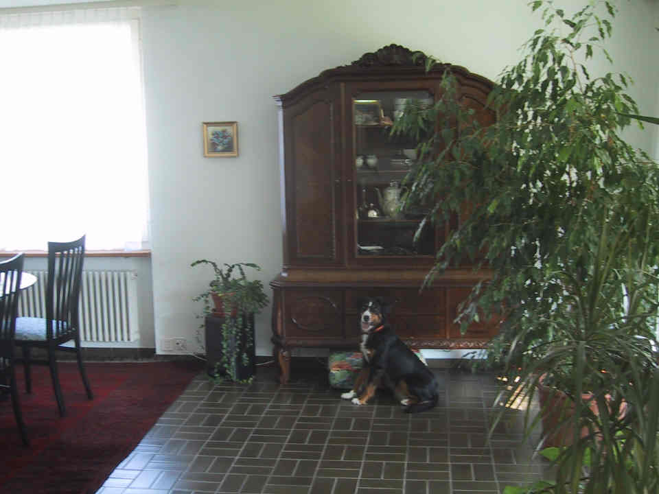 House Suhr Kita next to livingroom cupboard