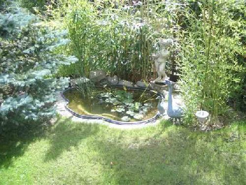 House Suhr little pond