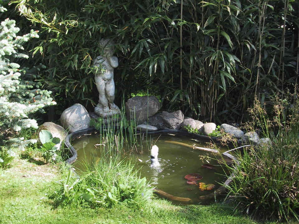 House Suhr little pond front view