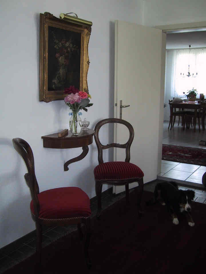 House Suhr livingroom entrance with Kita