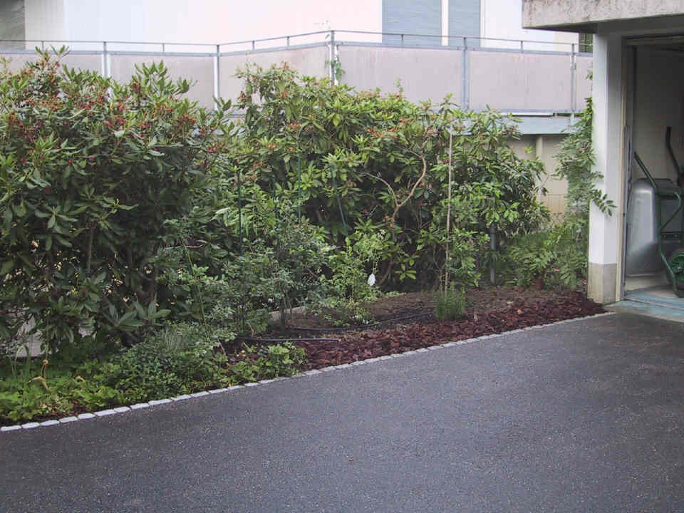 House Suhr next to garage plants