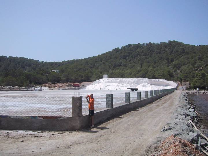 LEIB Ibiza Spain Ses Salinas Cash cow of last century and Stefan