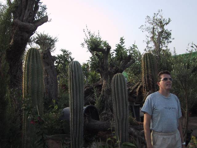 Palma de Mallorca LEPA Beat next to cactus at Cathedral
