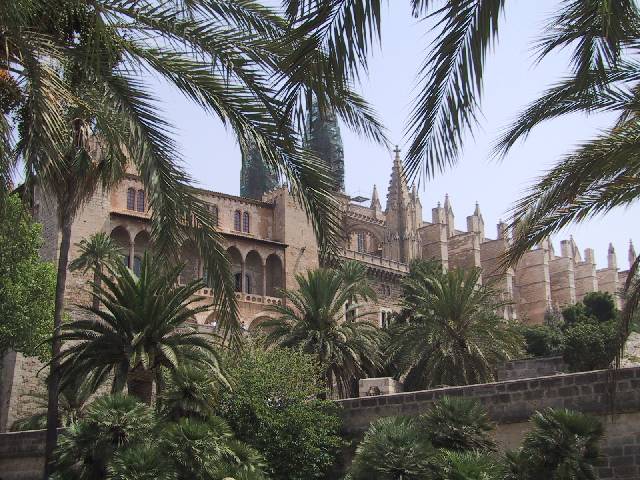 Palma de Mallorca LEPA Cathedral front with Palm trees