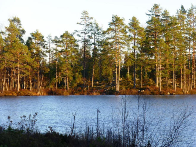 Stuga Bodtjärn 2nd lake sunset