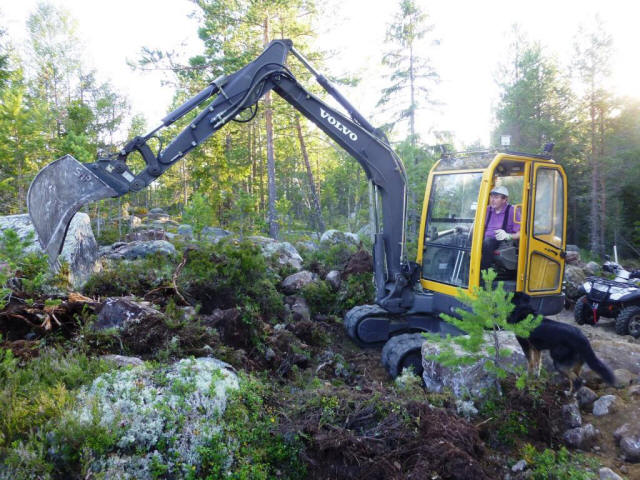 Forest digger with Beat in action