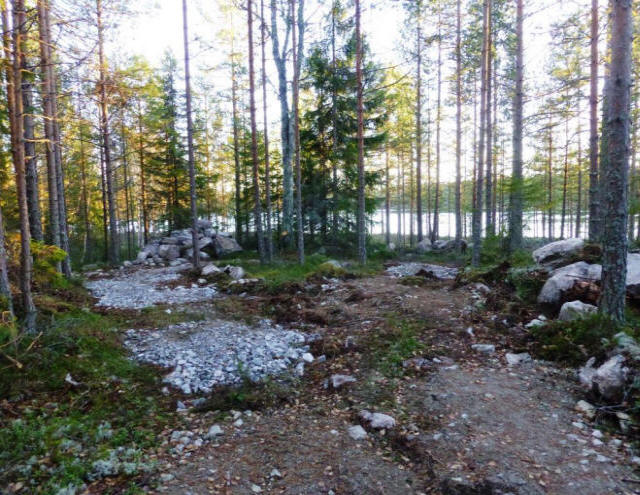 Stuga forestroad to second lake preparation