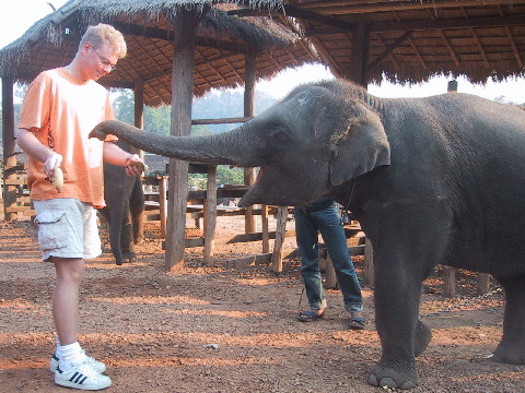 Stefan and Elephant 2004
