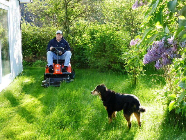 Stocka Husqvarna lawnmower Beat and Kita