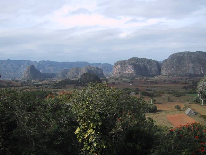 Varaderp Cuban highland