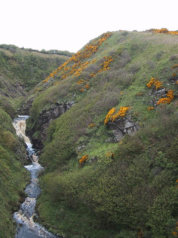 Iceland Wick small water